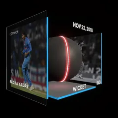 Radha Yadav Collectible Surface Thumbnail