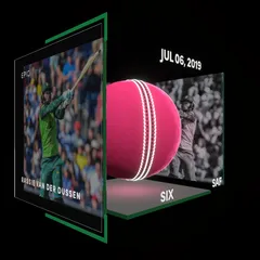 Rassie van der Dussen Collectible Surface Thumbnail