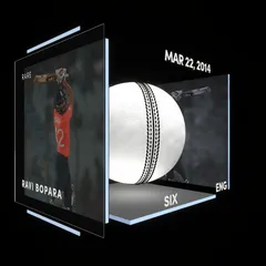 Ravi Bopara Collectible Surface Thumbnail