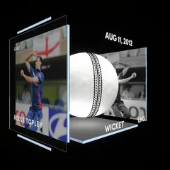 Reece Topley Collectible Surface Thumbnail