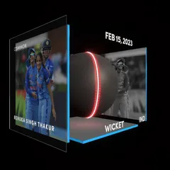 Renuka Singh Thakur Collectible Surface Thumbnail