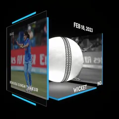 Renuka Singh Thakur Collectible Surface Thumbnail