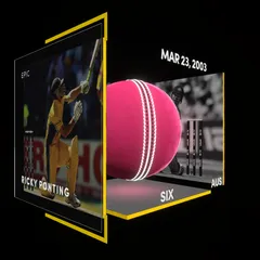Ricky Ponting Collectible Surface Thumbnail