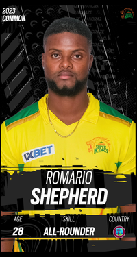 Romario Shepherd Collectible Surface Thumbnail