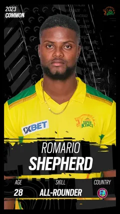 Romario Shepherd Collectible Surface Thumbnail