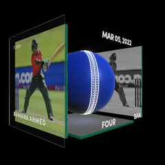 Rumana Ahmed Collectible Surface Thumbnail