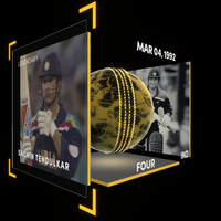 Sachin Tendulkar Collectible Surface Thumbnail