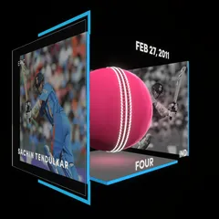 Sachin Tendulkar Collectible Surface Thumbnail