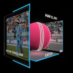Sachin Tendulkar Collectible Surface Thumbnail