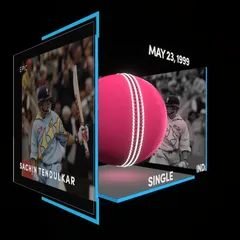 Sachin Tendulkar Collectible Surface Thumbnail