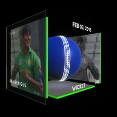 Sameen Gul Collectible Surface Thumbnail
