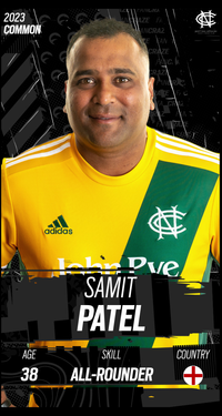 Samit Patel Collectible Surface Thumbnail