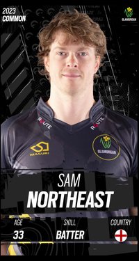 Sam Northeast Collectible Surface Thumbnail