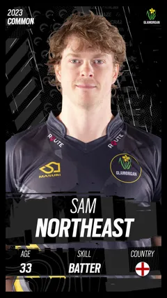 Sam Northeast Collectible Surface Thumbnail