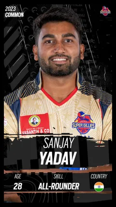 Sanjay Yadav Collectible Surface Thumbnail