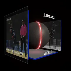 Saurabh Netravalkar Collectible Surface Thumbnail