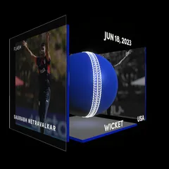 Saurabh Netravalkar Collectible Surface Thumbnail