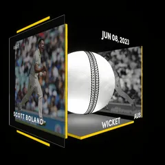 Scott Boland Collectible Surface Thumbnail