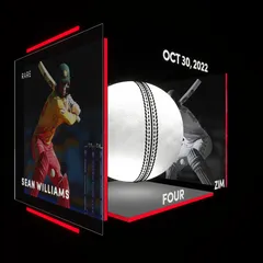 Sean Williams Collectible Surface Thumbnail