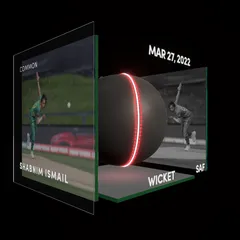 Shabnim Ismail Collectible Surface Thumbnail