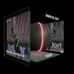 Shauna Kavanagh Collectible Surface Thumbnail
