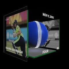 Shauna Kavanagh Collectible Surface Thumbnail