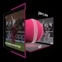 Shimron Hetmyer Collectible Surface Thumbnail