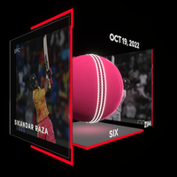 Sikandar Raza Collectible Surface Thumbnail