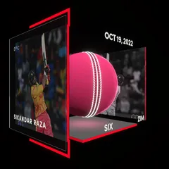 Sikandar Raza Collectible Surface Thumbnail