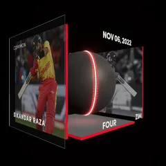 Sikandar Raza Collectible Surface Thumbnail