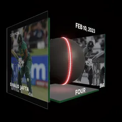 Sinalo Jafta Collectible Surface Thumbnail