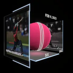 Sophia Dunkley Collectible Surface Thumbnail