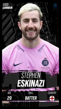 Stephen Eskinazi Collectible Surface Thumbnail