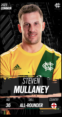 Steven Mullaney Collectible Surface Thumbnail