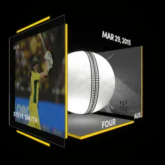 Steve Smith Collectible Surface Thumbnail