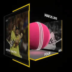 Steve Smith Collectible Surface Thumbnail