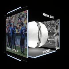 Stuart Broad Collectible Surface Thumbnail