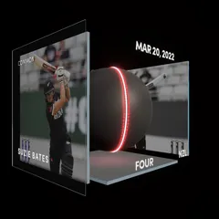 Suzie Bates Collectible Surface Thumbnail