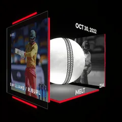 Sean Williams Collectible Surface Thumbnail