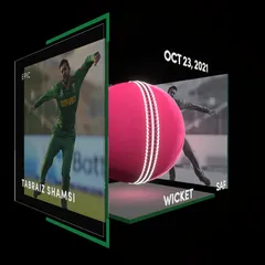 Tabraiz Shamsi Collectible Surface Thumbnail