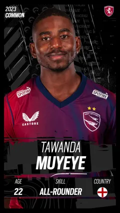 Tawanda Muyeye Collectible Surface Thumbnail