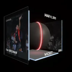Tim Bresnan Collectible Surface Thumbnail