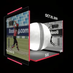 Tim David Collectible Surface Thumbnail