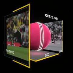Tim David Collectible Surface Thumbnail