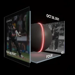 Tim Seifert Collectible Surface Thumbnail