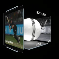 Tim Seifert Collectible Surface Thumbnail