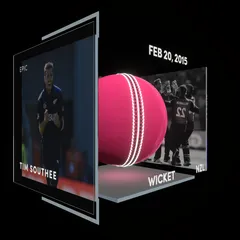 Tim Southee Collectible Surface Thumbnail