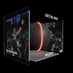 Tim Southee Collectible Surface Thumbnail
