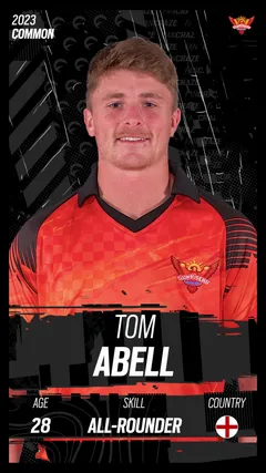 Tom Abell Collectible Surface Thumbnail