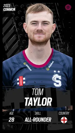 Tom Taylor Collectible Surface Thumbnail